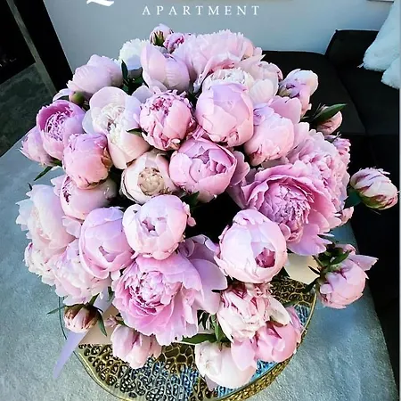 Luxury Queen V With Jacuzzi * كاوناس