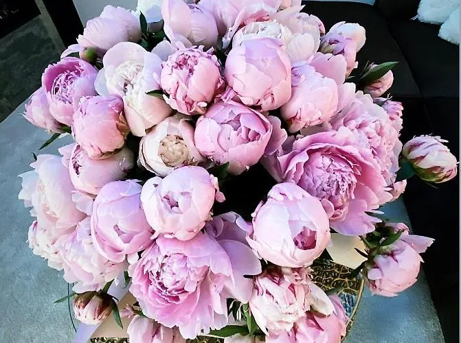 Luxury Queen V With Jacuzzi * カウナス